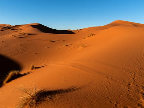 Sunlight highlighting the dunes in the Sahara