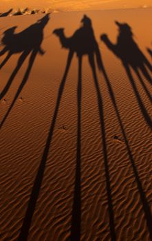 Camel trek in Sahara Desert sand dunes, Morocco.