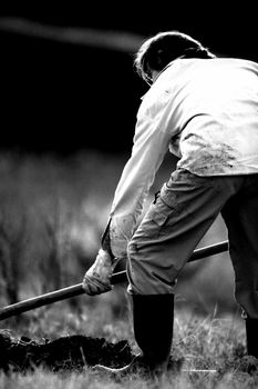 farmer land, hoe, nature, agriculture, planting, portrait, person, agriculture, harvesting, planting,