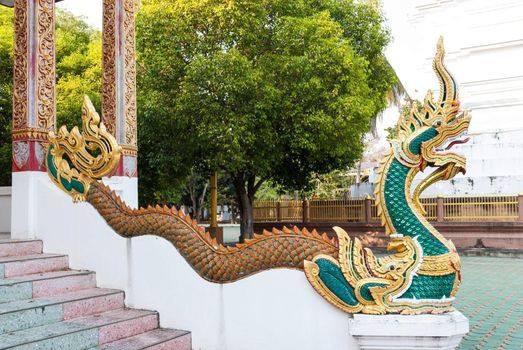 Naga or dragon is a deity or class of entity or being, taking the form of a very great snake, Sea serpent � specifically the king cobra, found in Hinduism and Buddhism. Naga said to live in the Mekong river.