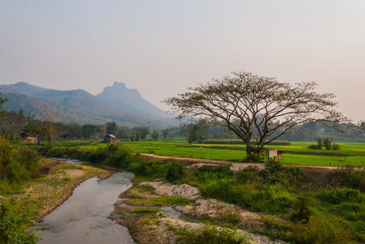 Peaceful creek scenery in Lampang, Thailand
