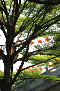 Lantern Festival, Chinese New Year, Jinan, China