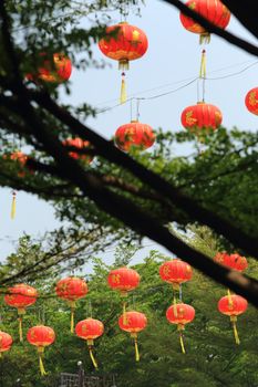 chinese lanterns