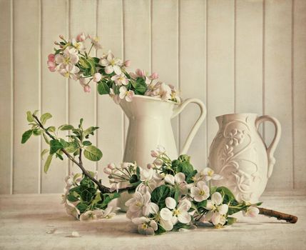 Still life of apple blossom flowers in vase on table