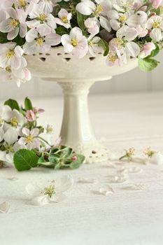 Apple blossom flowers in vase on table