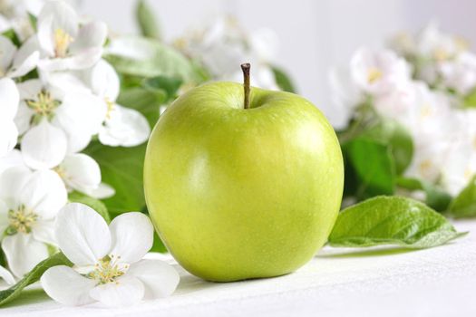 Delicious green apple with blossoms in background