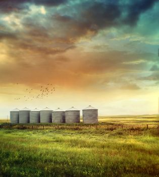 Prairie grain silos in late summer