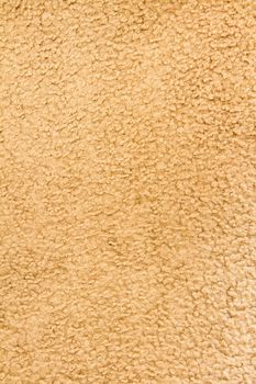 Carpet has seen some wear in it's life but still holding together.