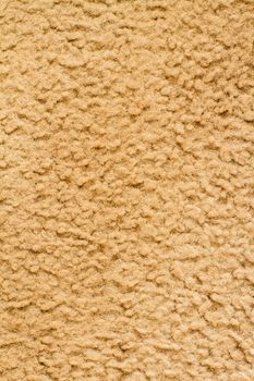 Top down view of carpet that has seen a little wear but still in decent shape