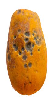 a rotten papaya on a white background