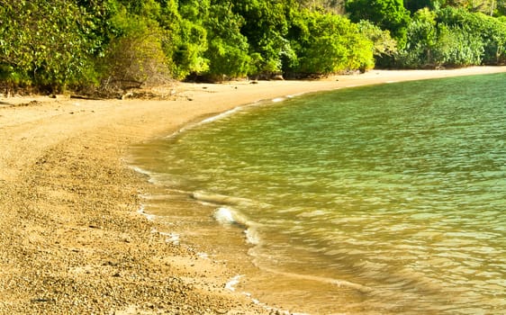 Trees along the beach. Part of the beach in Krabi, Thailand.