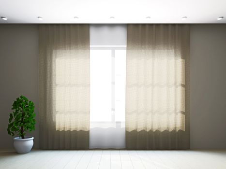 Room window with curtains and a plant near the wall