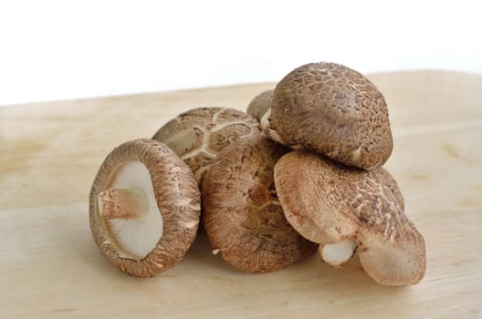 Shiitake mushrooms on wooden background