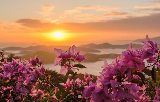 Red flowers frame the sunset over the islands in harbor of Charlotte Amalie St Thomas USVI