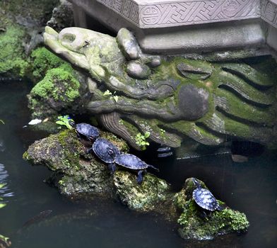 Turtles Temple Garden Baoguang Si Shining Treasure Buddhist Temple Chengdu Sichuan China Front of Temple