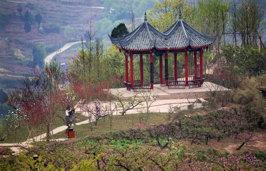 China Red Pagoda, Peach Blossoms, Village, Chengdu, Sichuan, orchards, fields