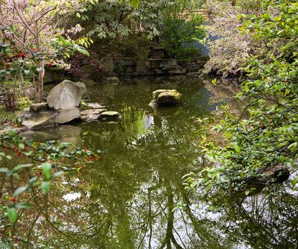 Temple Pond Reflection Cherry Blossoms Chengdu Sichuan China