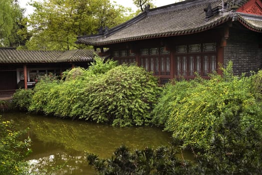 Chinese Garden Yellow Flowers Reflections, Wuhou Memorial Three Kingdoms Temple, Chengdu, Sichuan, China