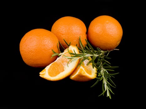 Three oranges and fresh rosemary on black background