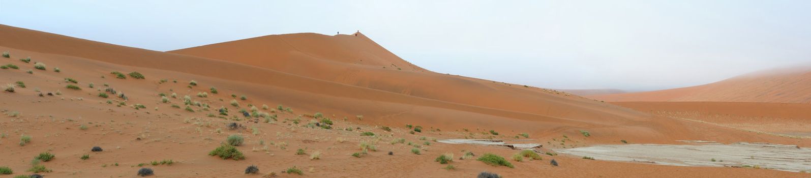 Panorama from four photos at Deadvlei near Sossusvlei,  Namibia