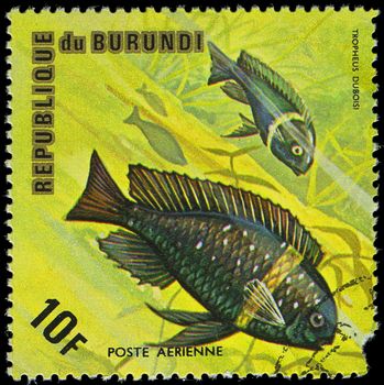 Republic of Burundi, - CIRCA 1975: A stamp printed by Burundi shows the fish Tropheus duboisi, circa 1975