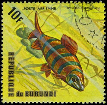 Republic of Burundi, - CIRCA 1975: A stamp printed by Burundi shows the fish Distichodus sexfasciatus, circa 1975