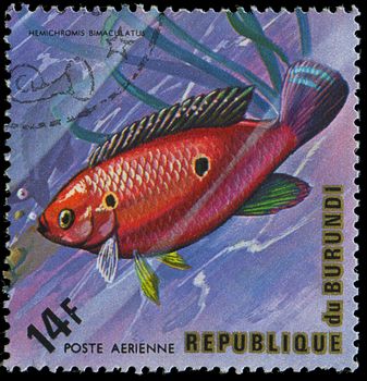 Republic of Burundi, - CIRCA 1975: A stamp printed by Burundi shows the fish Hemichromis bimaculatus, circa 1975