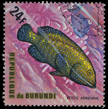 Republic of Burundi, - CIRCA 1975: A stamp printed by Burundi shows the fish Cephalophocis argus, circa 1975