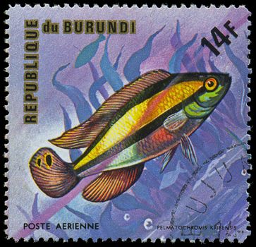 Republic of Burundi, - CIRCA 1975: A stamp printed by Burundi shows the fish Pelmatochromis kribensis, circa 1975