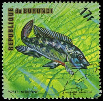 Republic of Burundi, - CIRCA 1975: A stamp printed by Burundi shows the fish Tilapia melanopleura, circa 1975