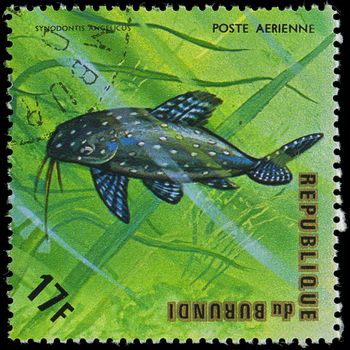 Republic of Burundi, - CIRCA 1975: A stamp printed by Burundi shows the fish Synodontis angelicus, circa 1975