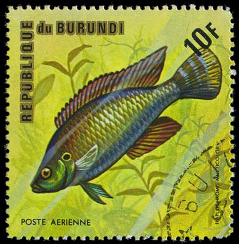 Republic of Burundi, - CIRCA 1975: A stamp printed by Burundi shows the fish Haplochromis multicolor, circa 1975