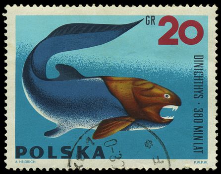 POLAND - CIRCA 1965: A stamp printed in Poland showing Dinichthys, circa 1965