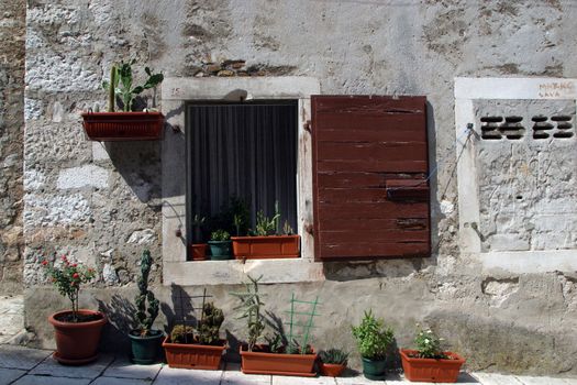 Old house with flowers