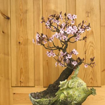 plum blossom bonsai potted handmade