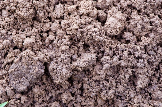 Macro closeup of ground background. Dirt detail fragment.