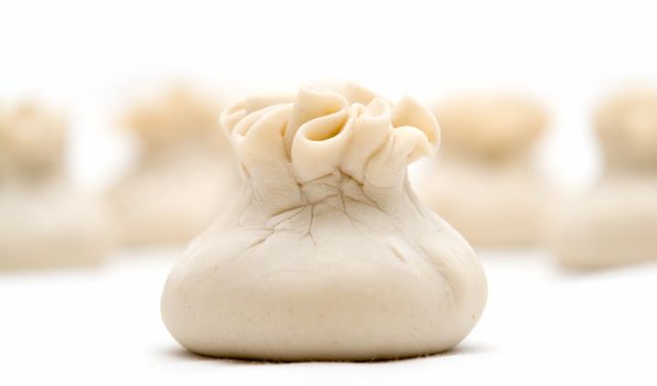 big meat dumplings on a white background