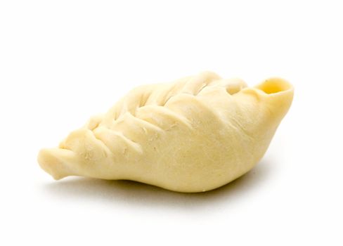 big meat dumplings on a white background