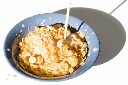 Milk flows in a plate with corn flakes