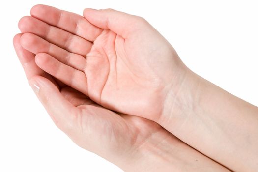 Female hands on a white background