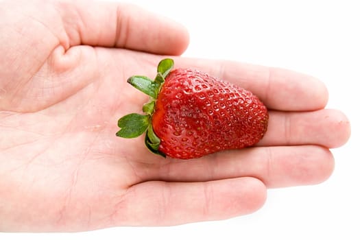 Red strawberry on a palm.