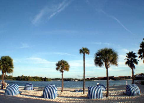 A beach with palm trees and a lake.