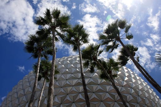 Palms Trees and a building behind