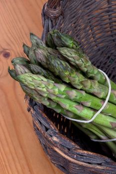 Bundle of freshly harvested asparagus crowns