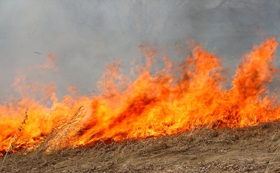 big red fire in the dry grass field