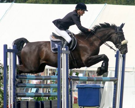 A rider on a horse jumping over a double fence.