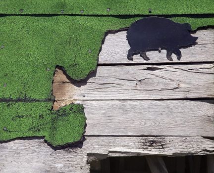 Wooden siding with green turf and pig drawing.