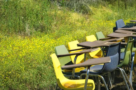 Bunch of old school chairs in grassy field.