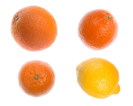 Citruses isolated on white  background.orange; lemon;tangerine