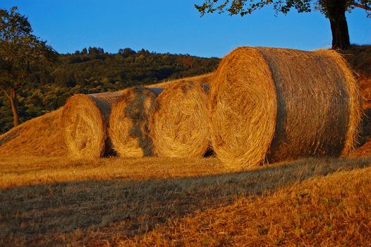 Hay bales in the mountains at sunset - Italy